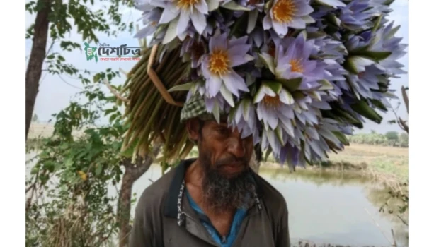 6564397fd15ed-271123123855.webp