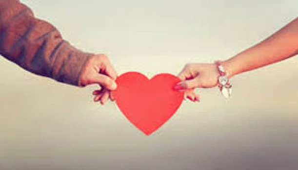 65d43d50c2a7f-200224114904.webp