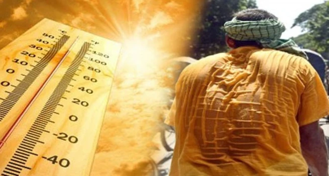 660d08c0ec130-030424014400.webp
