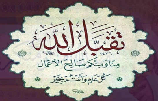 67e8fe3365e4f-300325021755.webp