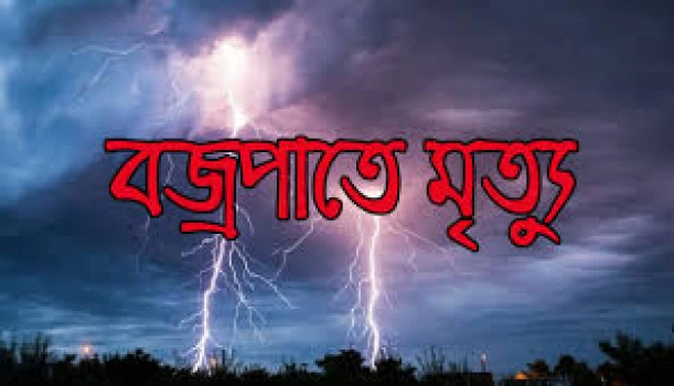 deshchitro-62fb209c7d629-160822104412.webp