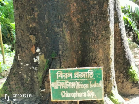 deshchitro-631870d2cc9b1-070922042210.webp