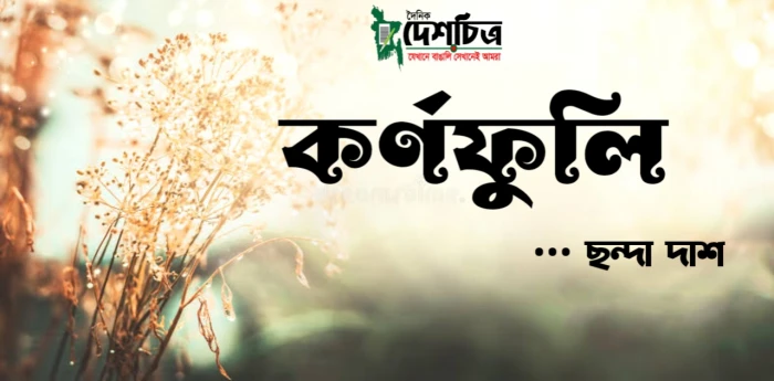 deshchitro-631d310cc42f9-110922065124.webp