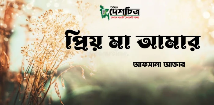 deshchitro-631d6efb3743a-110922111539.webp