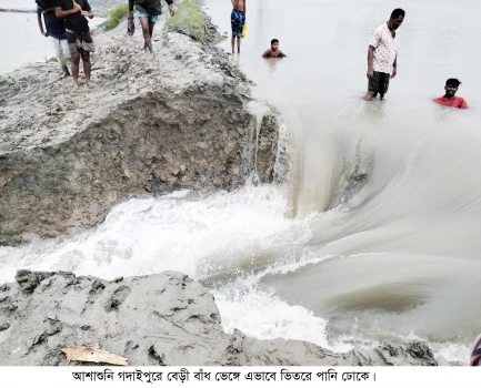 deshchitro-631f3c046c0b0-120922080244.webp