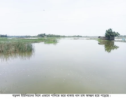 deshchitro-6324866701bf0-160922082127.webp
