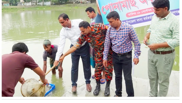 deshchitro-63270aaf87e4a-180922061023.webp