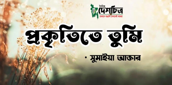 deshchitro-633e42808ccb5-061022085040.webp