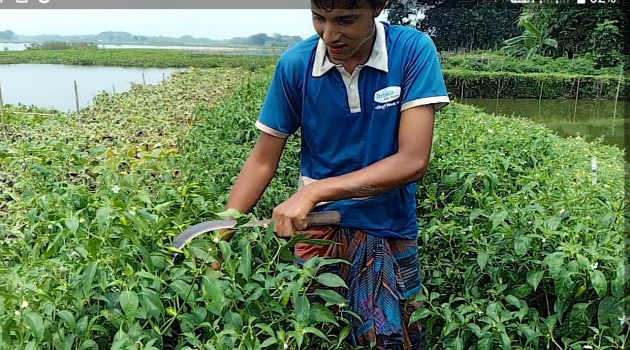 deshchitro-6343a2bf4653f-101022104239.webp