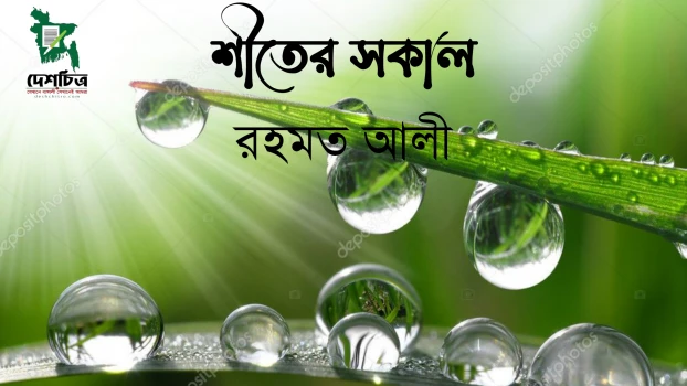 deshchitro-6346dbc770eb8-121022092247.webp