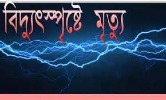 deshchitro-634aa45fa089d-151022061527.webp
