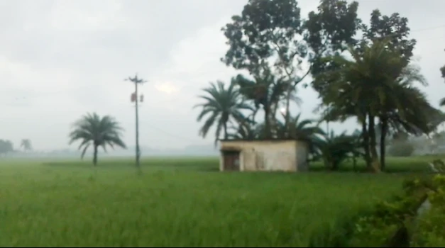 deshchitro-634bb69bd8b9d-161022014531.webp