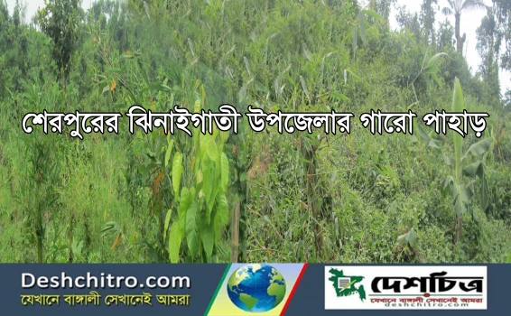deshchitro-637763a7262b9-181122045119.webp