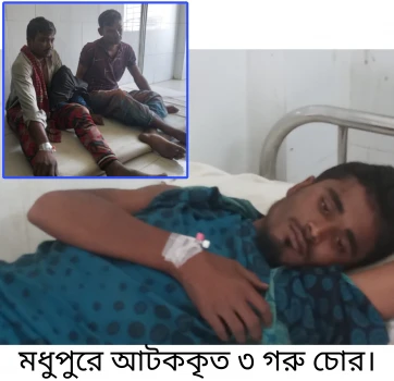 deshchitro-63874185eb21e-301122054157.webp