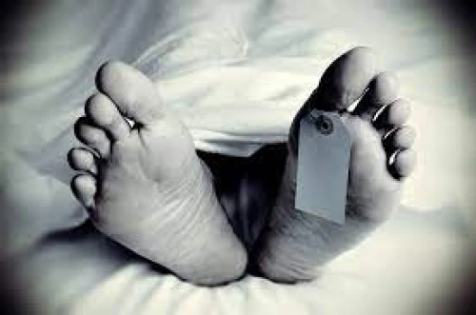 deshchitro-63b04bb81ba84-311222084824.webp