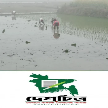 deshchitro-63b6a18f398d2-050123040815.webp