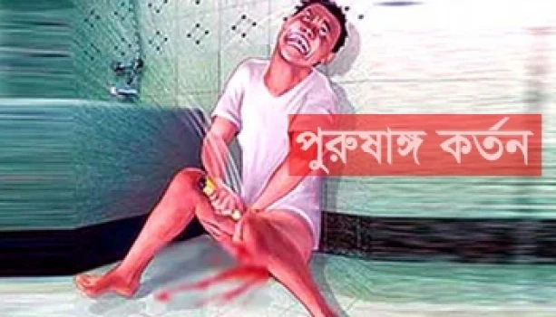 deshchitro-63b6e24771e3c-050123084423.webp