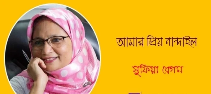 deshchitro-63bfa390d46b6-120123120712.webp