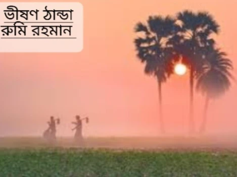 deshchitro-63c5604ed9bdd-160123083350.webp
