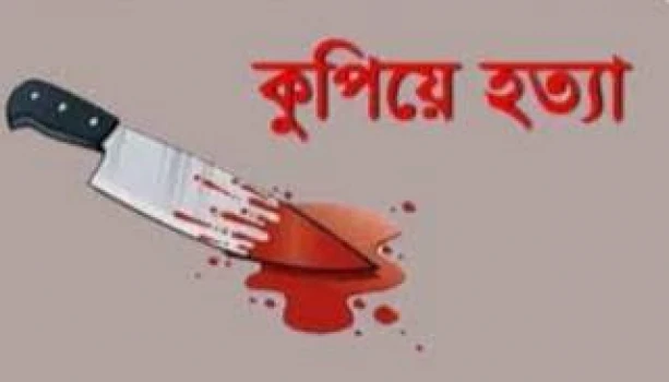 deshchitro-63d4c86fdb322-280123010207.webp