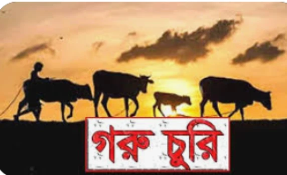 deshchitro-63e927d2df06e-120223115426.webp