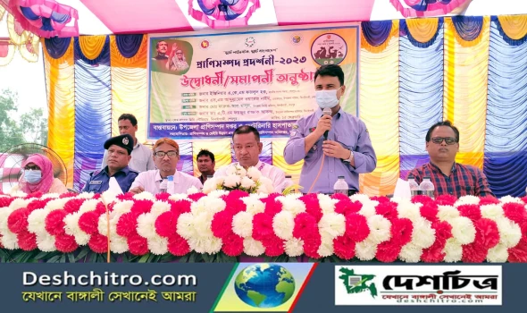 deshchitro-63f9b09958454-250223125417.webp