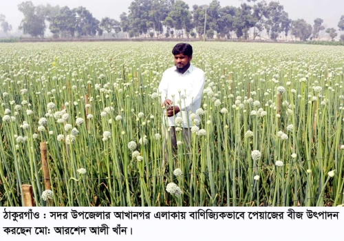 deshchitro-63fb29ebe8874-260223034411.webp