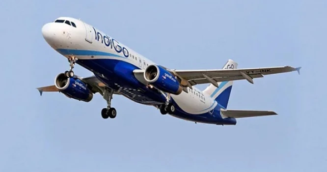 deshchitro-640ed7d90edc3-130323015921.webp