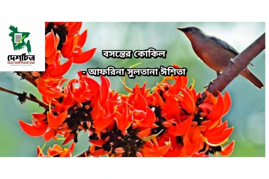 deshchitro-6415fc17a0bbc-180323115951.webp