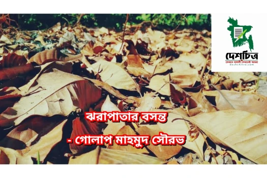 deshchitro-641600cbcf5fe-190323121955.webp