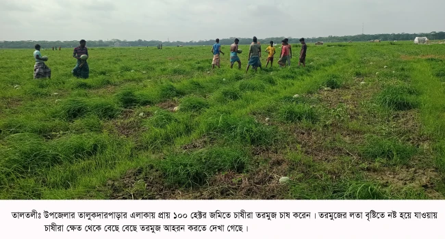 deshchitro-642d31056d3b8-050423022749.webp