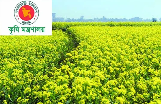 deshchitro-644faa164e9bb-010523060126.webp
