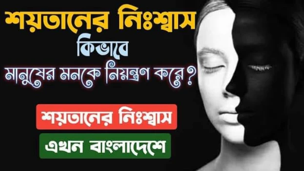 deshchitro-64565f24025fb-060523080732.webp