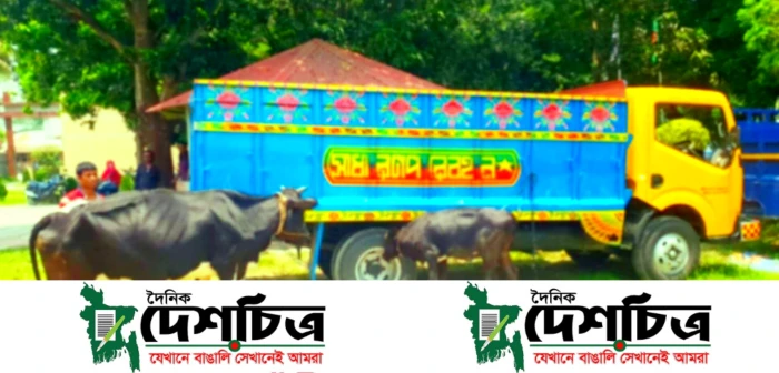 deshchitro-645fa7b5d24c8-130523090733.webp