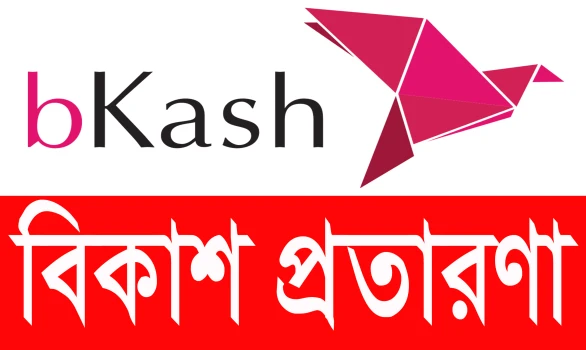 deshchitro-646533ab3cff5-180523020603.webp