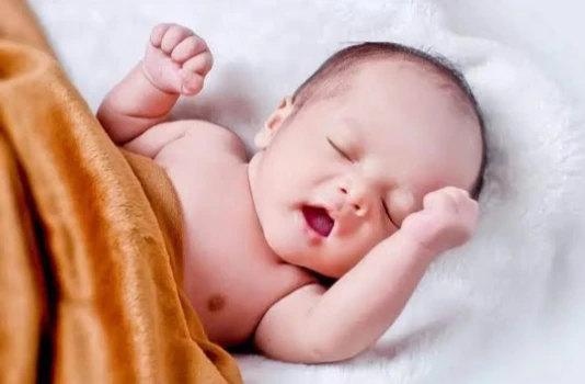 deshchitro-6476ad343d411-310523081308.webp