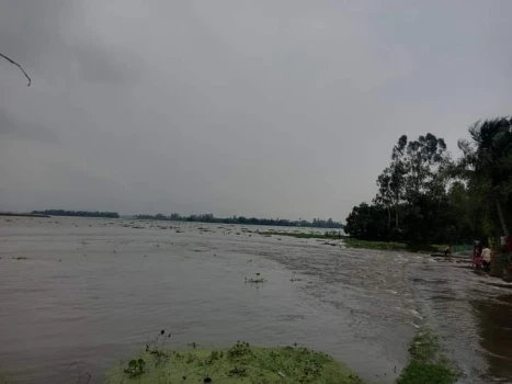 deshchitro-648d364405a18-170623102748.webp