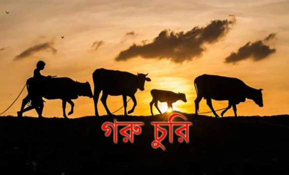 deshchitro-649328b0c26b1-210623104328.webp