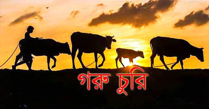 deshchitro-6495aef309d02-230623084051.webp
