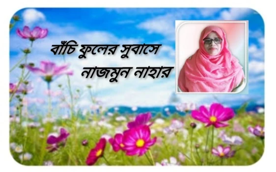 deshchitro-64aae5eb8df6f-090723105259.webp