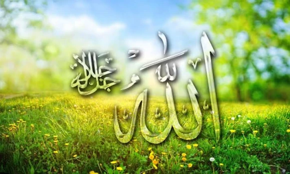 deshchitro-64af76008c702-130723095648.webp