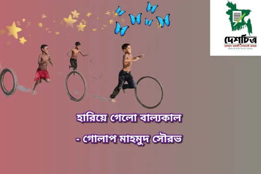 deshchitro-64b04f1da754b-140723012309.webp