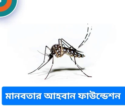 deshchitro-64b14dd03b20f-140723072952.webp