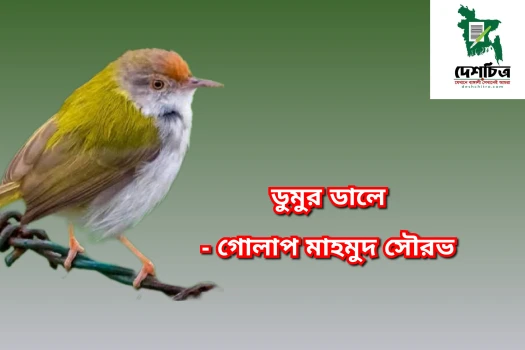deshchitro-64c0d085c2388-260723015133.webp