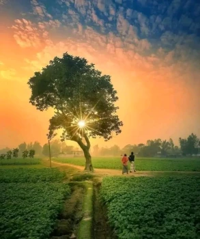 deshchitro-64c143885365b-260723100216.webp