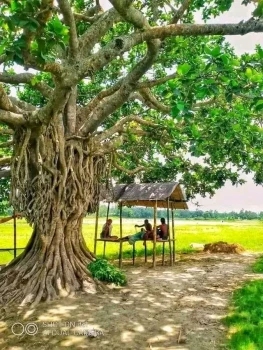 deshchitro-64c3eafd7d02c-280723102117.webp