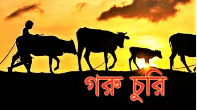 deshchitro-64cf24735de82-060823104123.webp