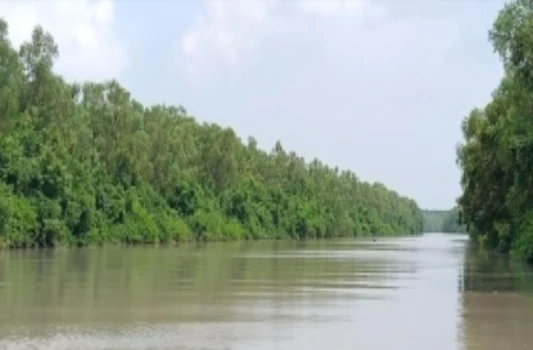 deshchitro-64cfdde500ff5-060823115237.webp