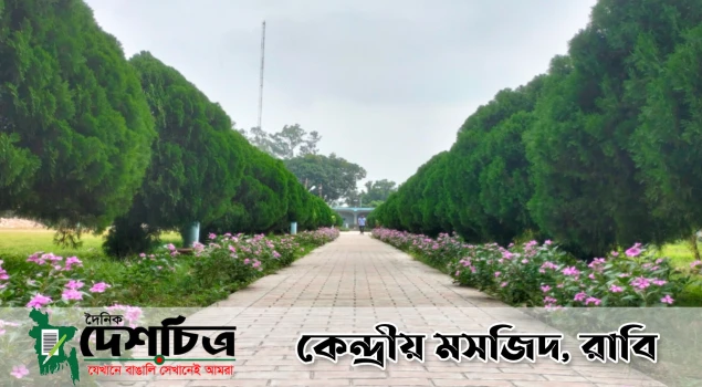 deshchitro-64d10cb07915a-070823092432.webp