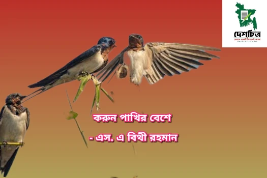 deshchitro-64db3fc5e3446-150823030509.webp